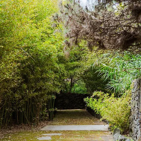 Caloura Suite Holiday home Caloura