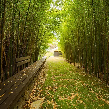 Caloura Suite Holiday home Caloura