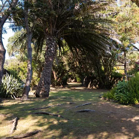 Caloura Suite Σπίτι διακοπών *