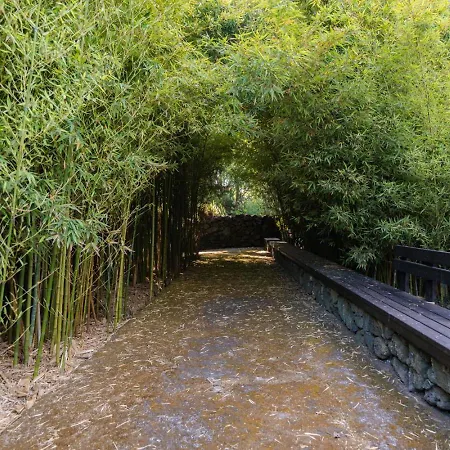 Caloura Suite Holiday home