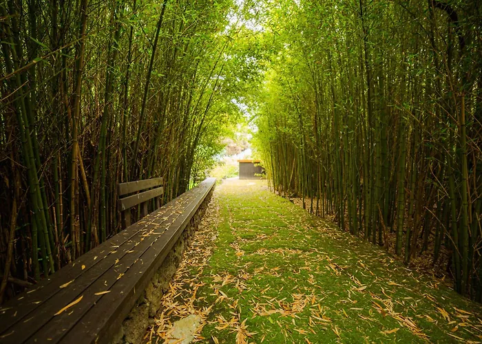 Caloura Suite Дом отдыха Калора