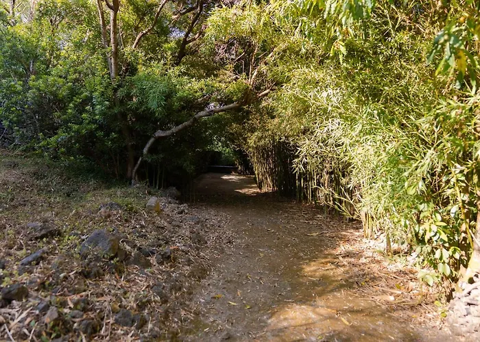 Caloura Suite Дом отдыха