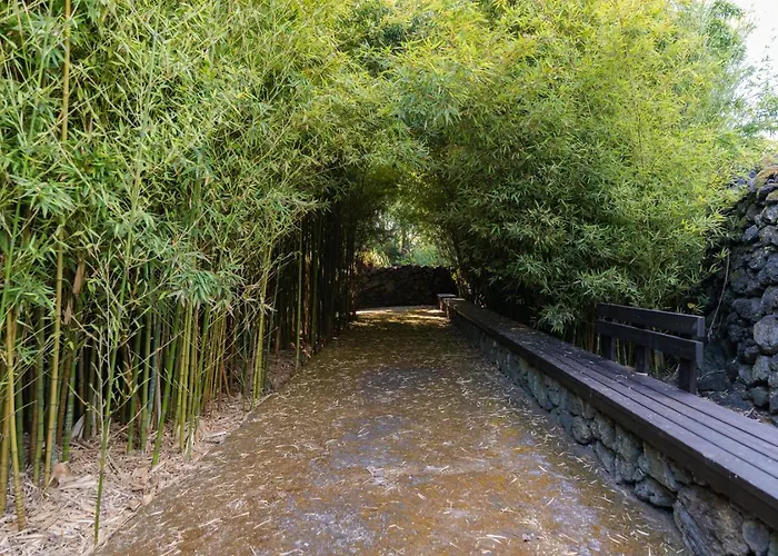 Caloura Suite Дом отдыха